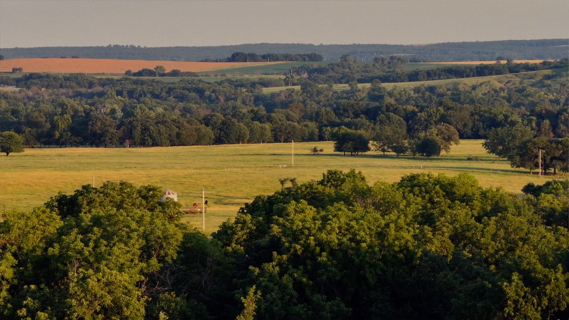 green countryside